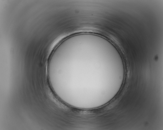 X0000115771275200911131014