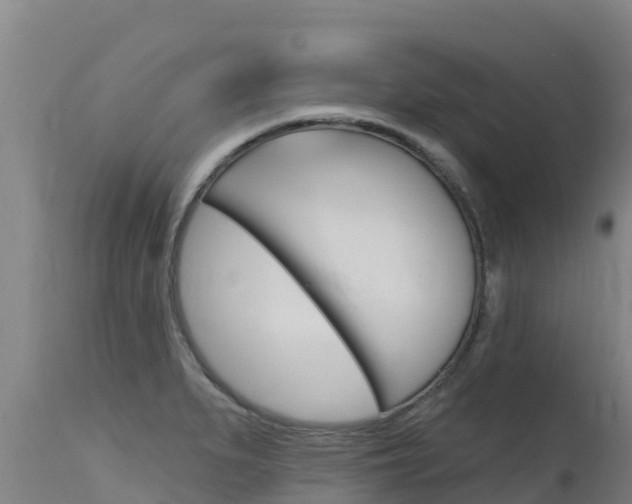 X0000115771279200911131013