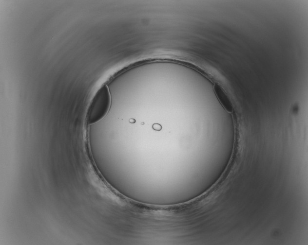 X0000115771280200911131013
