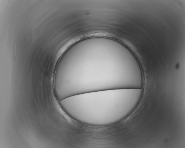 X0000115771282200911131013