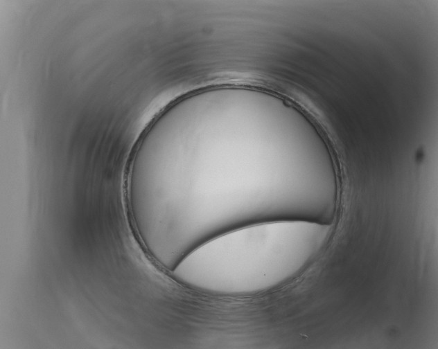 X0000115771283200911131013