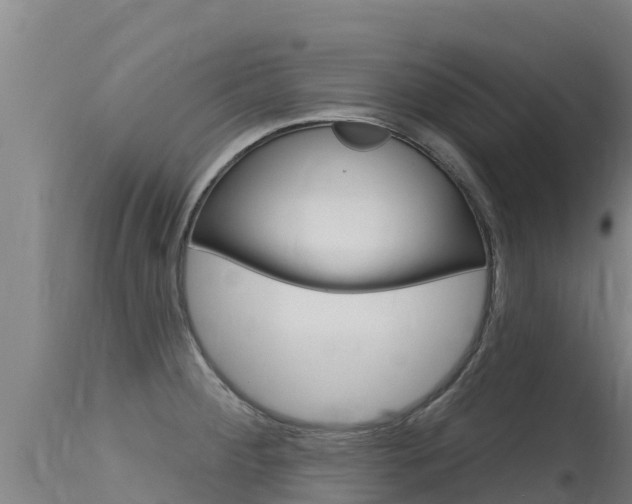 X0000115771284200911131013