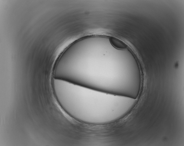 X0000115771285200911131013