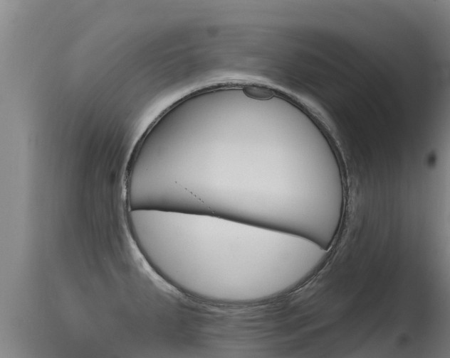 X0000115771287200911131013