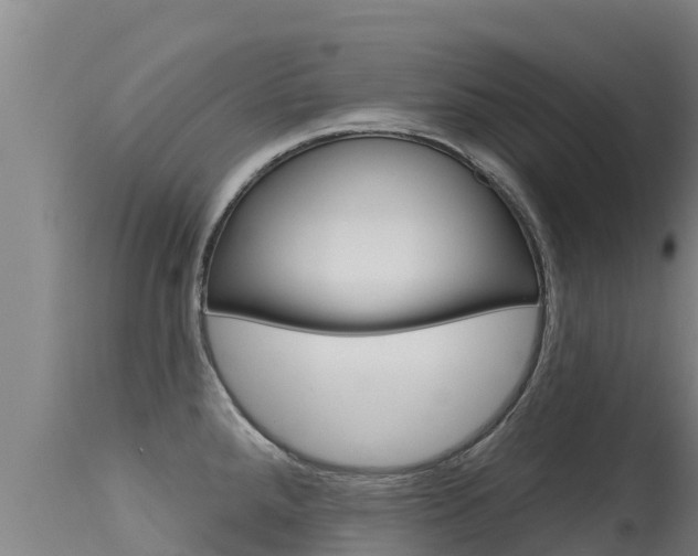 X0000115771288200911131013