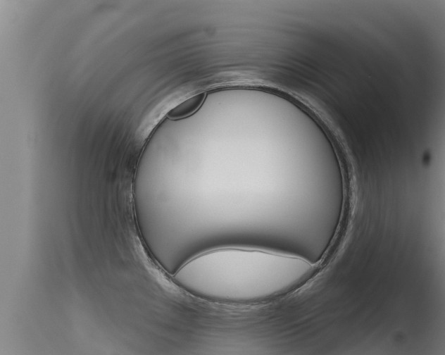 X0000115771289200911131013