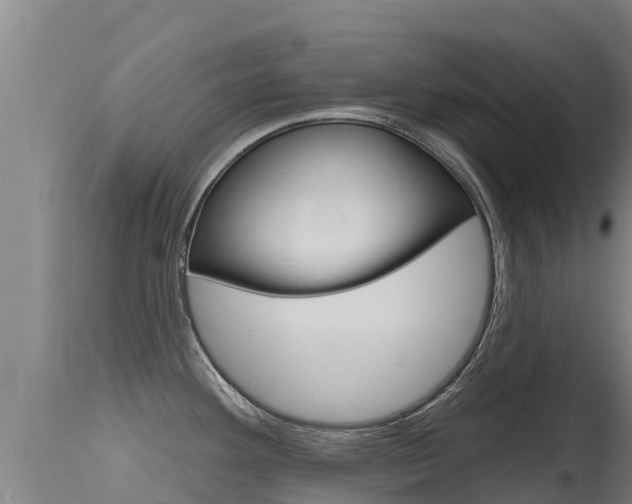 X0000115771292200911131013