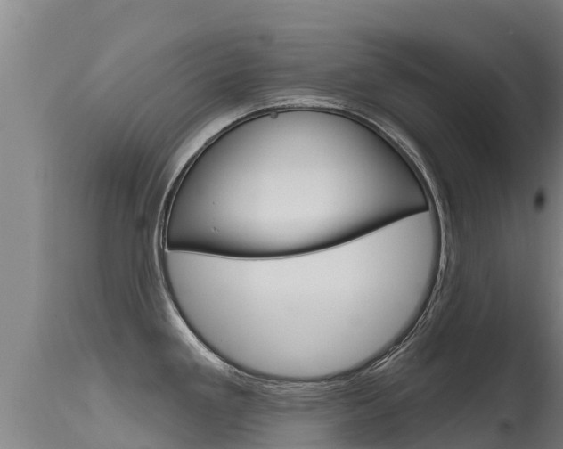 X0000115771293200911131013