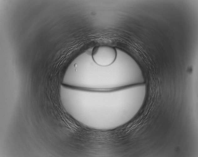 X0000115771297200911131013