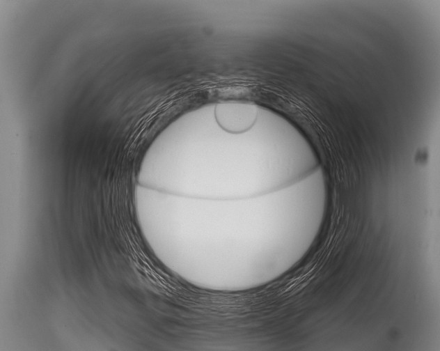 X0000115771299200911131013