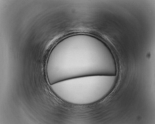 X0000115771307200911131013
