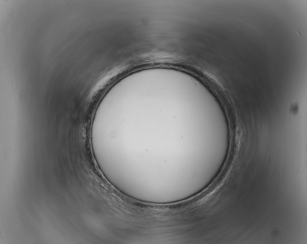 X0000115771309200911131013