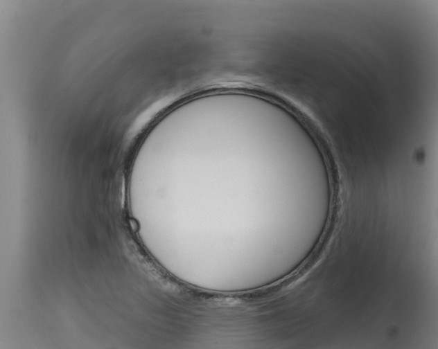 X0000115771317200911131013