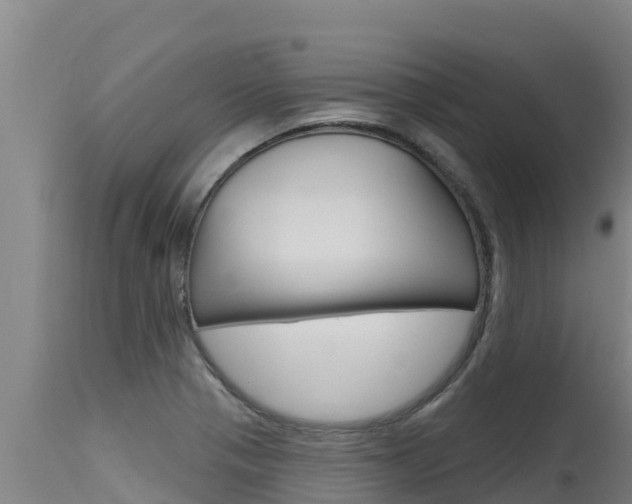 X0000115771321200911131013