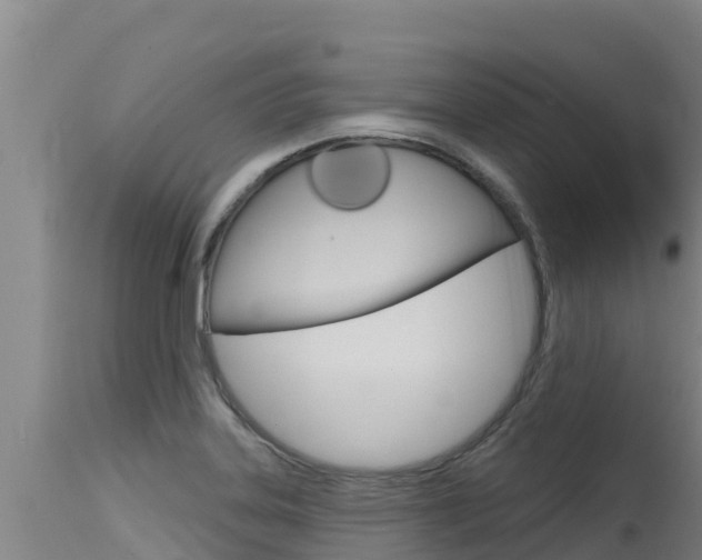X0000115771323200911131013