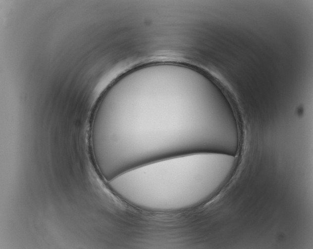 X0000115771325200911131013