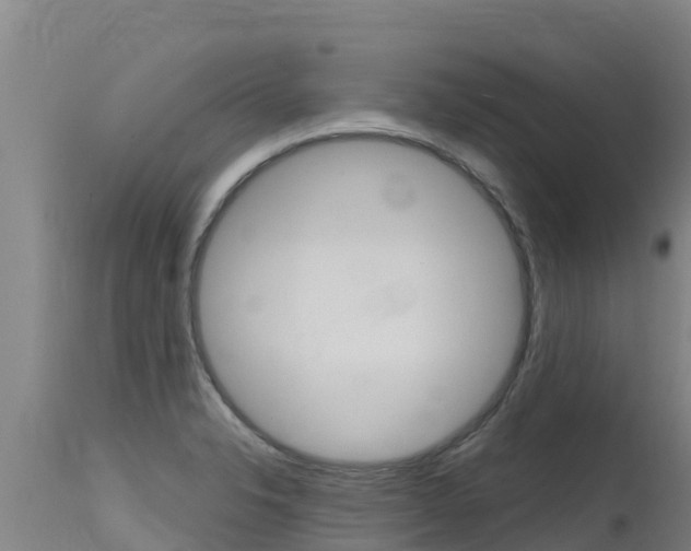 X0000115771326200911131013
