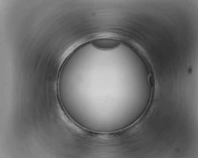X0000115771330200911131013