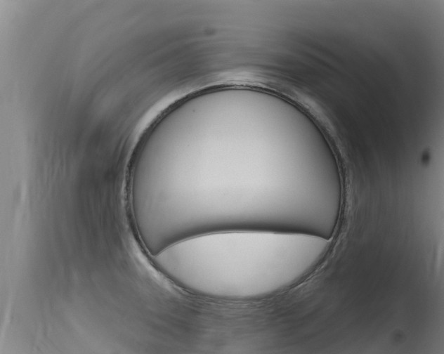 X0000115771331200911131013