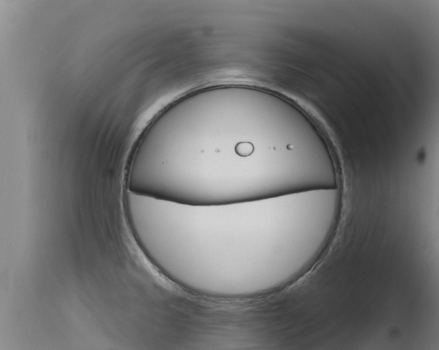 X0000115771333200911131013