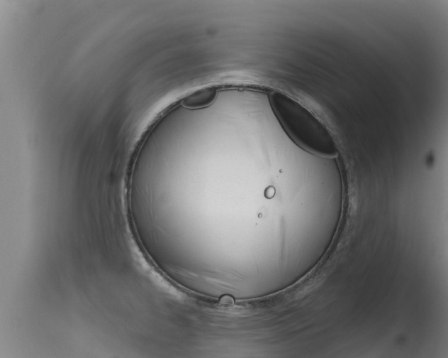 X0000115771334200911131013
