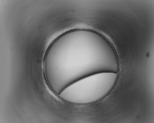 X0000115771335200911131013