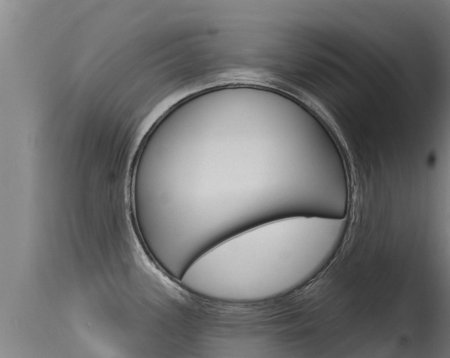 X0000115771339200911131013