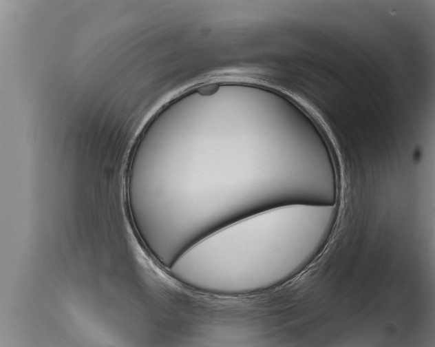 X0000115771341200911131013