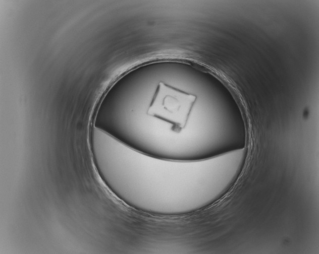 X0000115771342200911131013