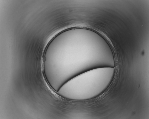 X0000115771343200911131013