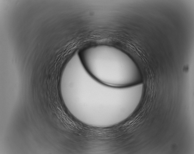X0000115771345200911131013