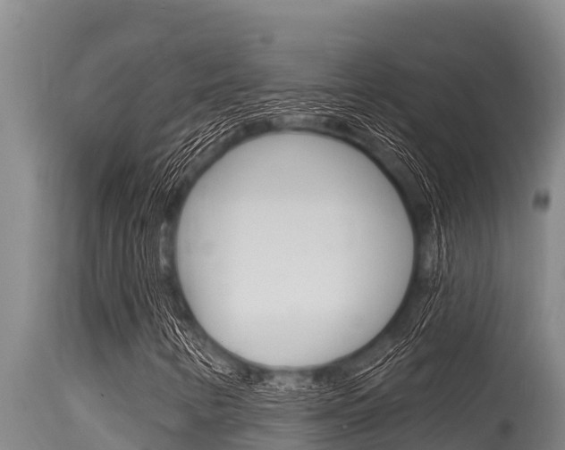 X0000115771346200911131013
