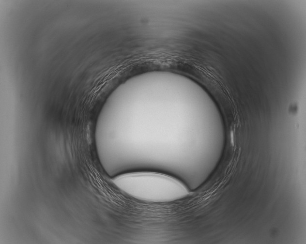 X0000115771347200911131013