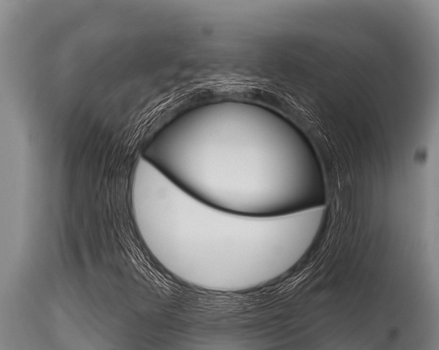 X0000115771348200911131013