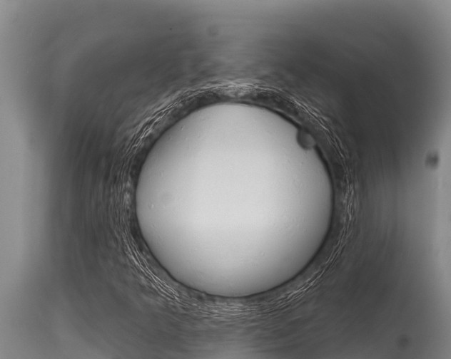X0000115771349200911131012