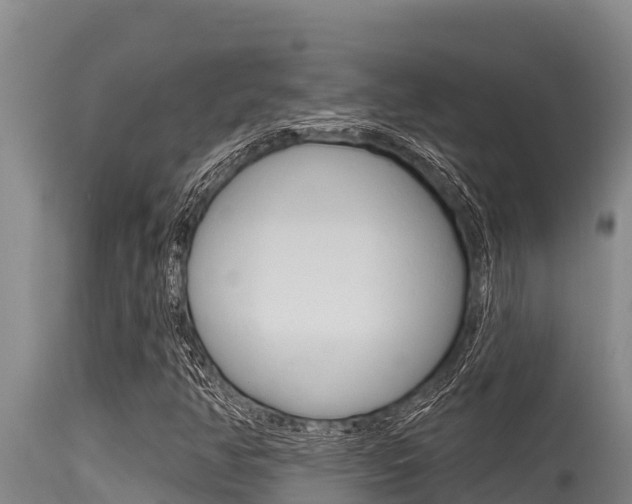 X0000115771350200911131012