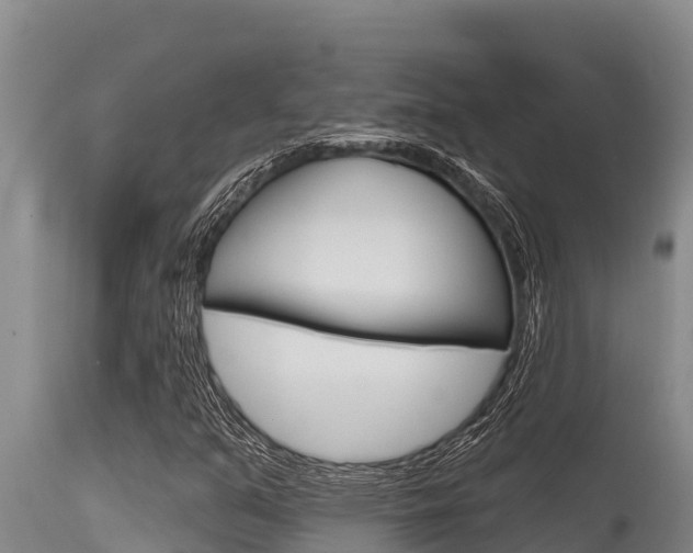 X0000115771351200911131012