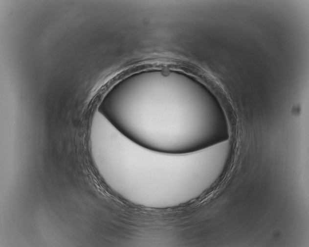 X0000115771352200911131012