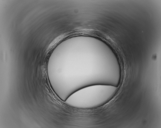 X0000115771354200911131012