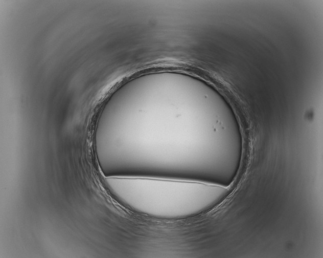 X0000115771355200911131012