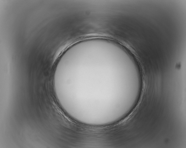 X0000115771357200911131012