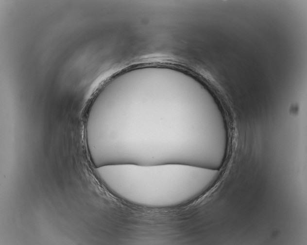 X0000115771358200911131012