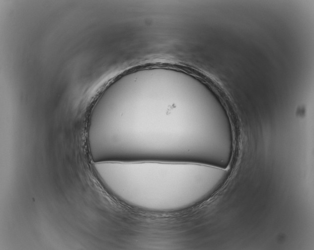 X0000115771359200911131012