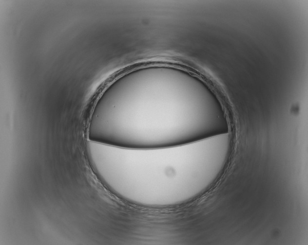 X0000115771360200911131012