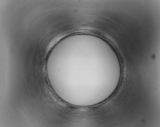 X0000115771362200911131012