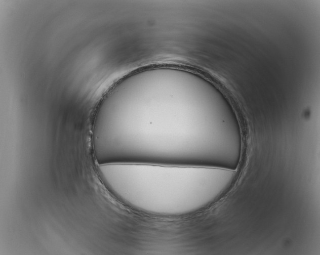 X0000115771363200911131012