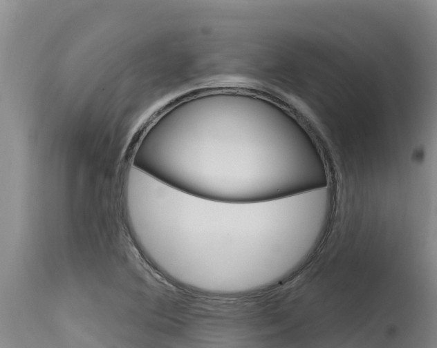 X0000115771364200911131012