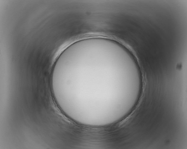X0000115771365200911131012