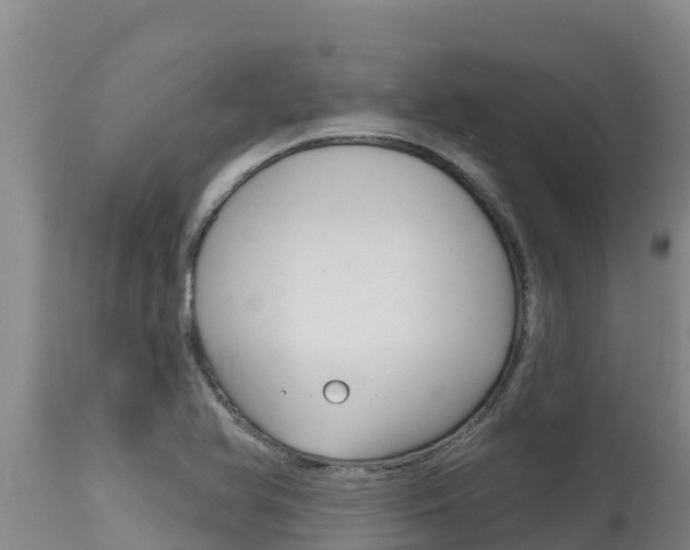 X0000115771366200911131012