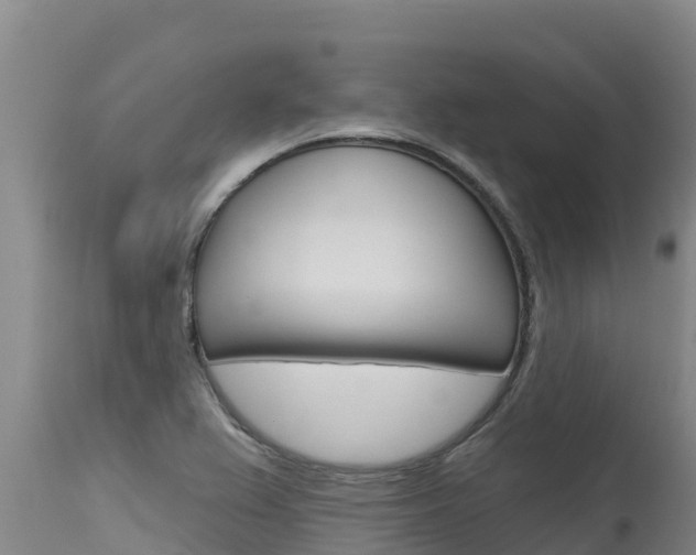 X0000115771367200911131012